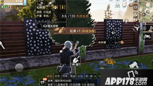 《明日之后》松果产量怎么提高 松果产量提高技巧