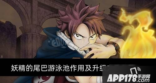 《妖精的尾巴》游泳池有什么用 游泳池作用一览