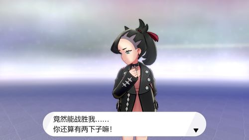 宝可梦剑盾月之石