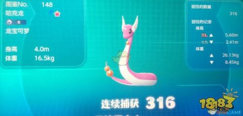 宝可梦朱紫哈克龙捕捉位置