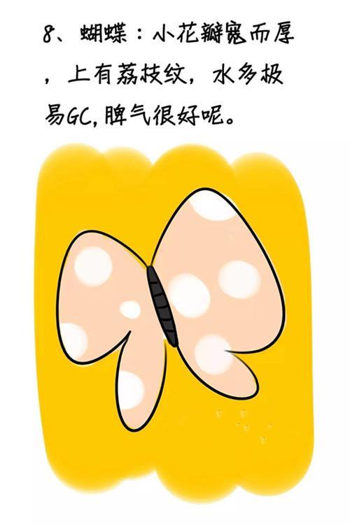 人气比较多的仙侠手游（大型最火仙侠手游2个g以上的推荐）