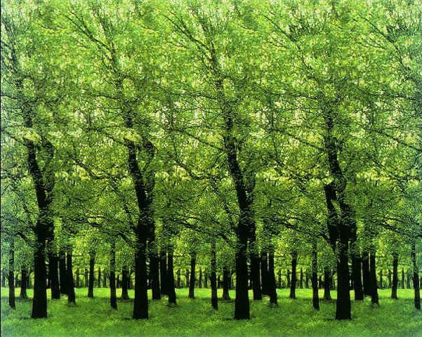 2020仙侠手游排行（超人气仙侠手游2023排行榜）