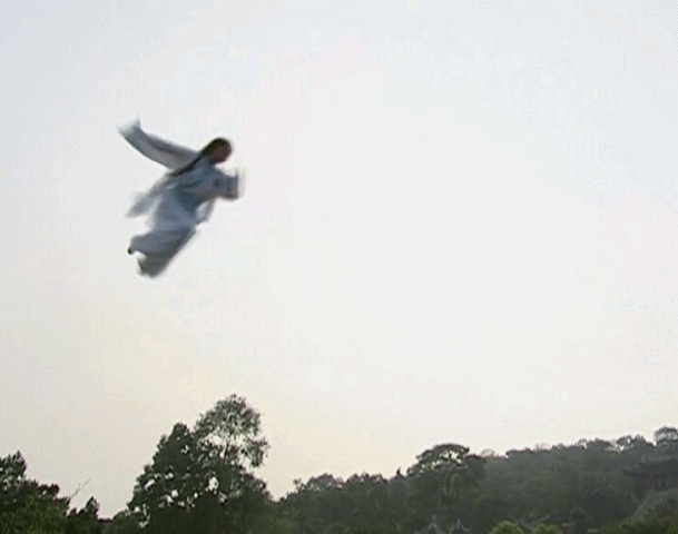 个轻功派就是用餐会飞