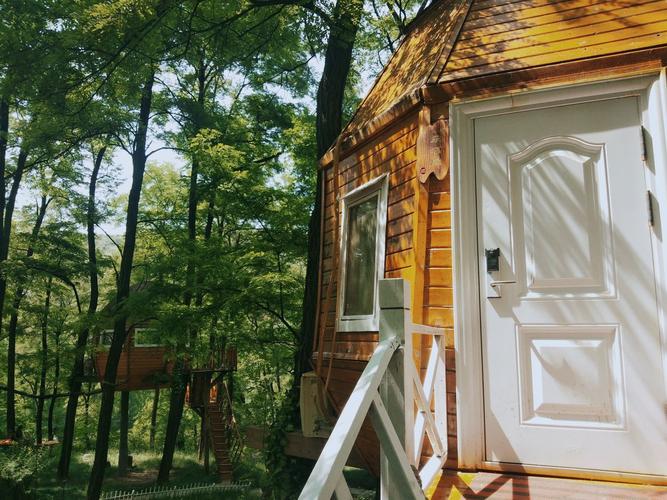 森林王国是一款以非凡品质童话冒险与你相伴的温馨世界在这里你需要通过完成森林王的主线故事