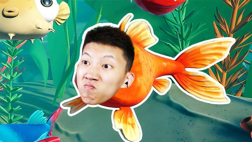 鲤鱼玩的游戏都是什么（2023鲤鱼玩的游戏有哪些）