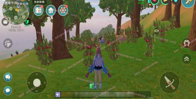 创造与魔法全版本