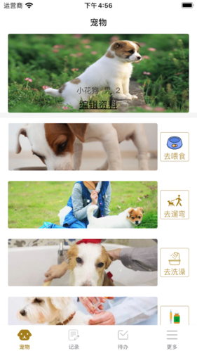 手机养宠物的软件大全