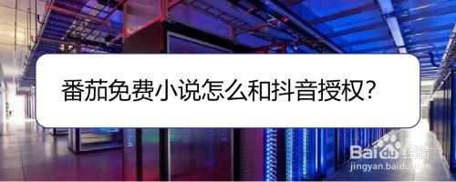 2023抖音上最火的小说软件有哪些（抖音火爆的小说）