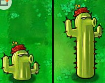 植物大战僵尸全明星仙人掌拼图哪里刷