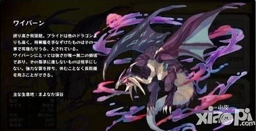 梅露可物语黑龙王宠怎么样 黑龙王宠好吗