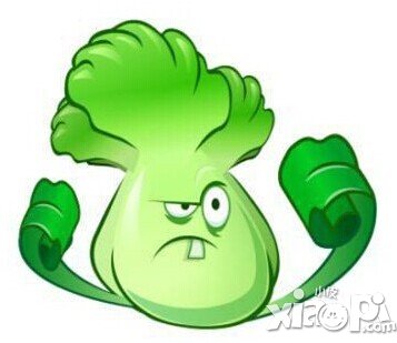 植物大战僵尸全明星白菜