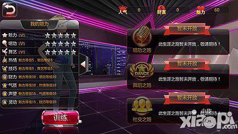 全民偶像偶像生涯