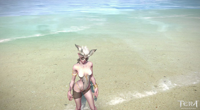 《TERA》性感比基尼美女截图(4)