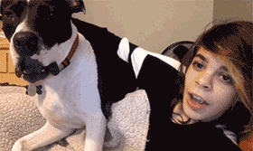 萌宠与二货主人神同步搞笑GIF(6)