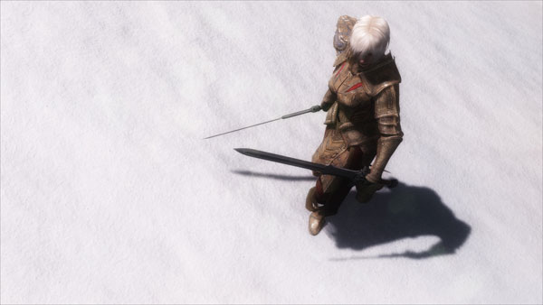 《上古卷轴5天际》最新MOD截图(25)