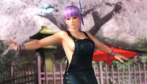 《死或生5：最后一战》巨乳美女截图(21)