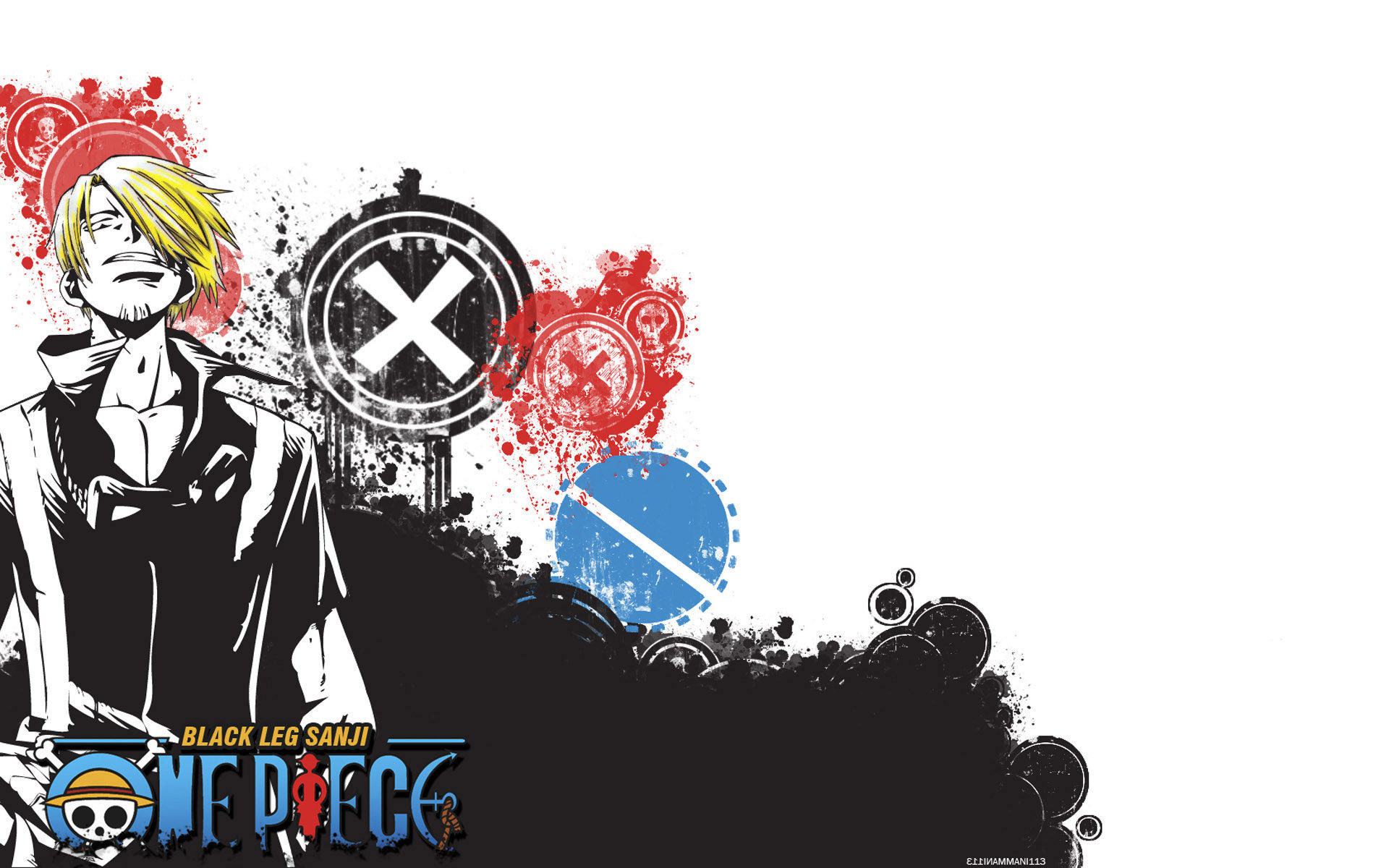 《热血海贼王》高清宽屏壁纸(5)