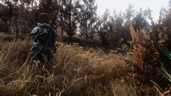 《上古卷轴5天际》最新MOD截图(11)