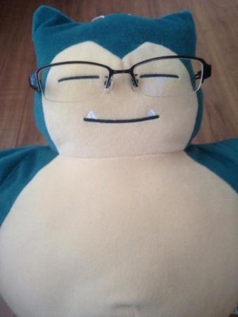 《口袋妖怪》角色玩偶眼镜照赏析(11)