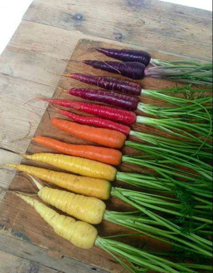 全球趣图精选第50弹(25)