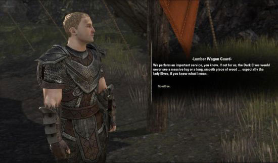 《上古卷轴ol》测试新截图(2)