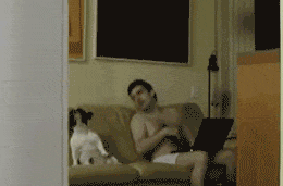 萌宠与二货主人神同步搞笑GIF(3)