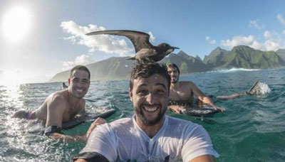 全球趣图精选第51弹(16)