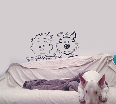 牛头梗Jimmy72变搞笑图集(19)