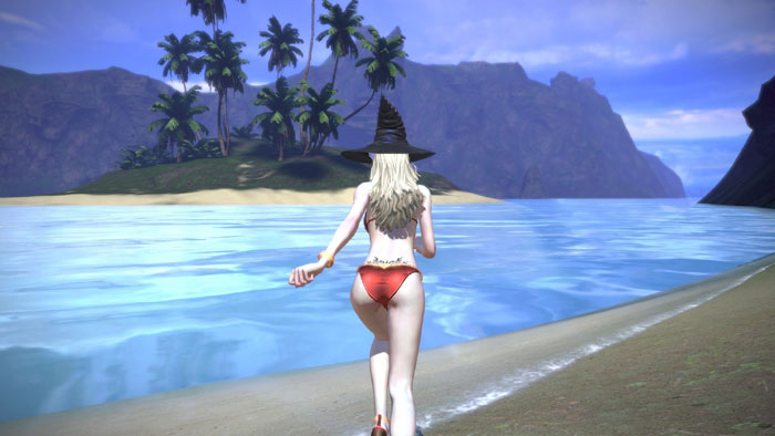 《TERA》性感比基尼美女截图(13)