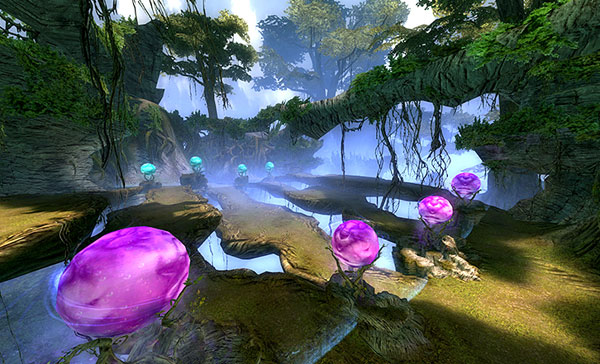 韩服《灵魂回响》游戏截图(6)