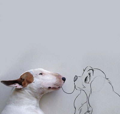 牛头梗Jimmy72变搞笑图集(18)