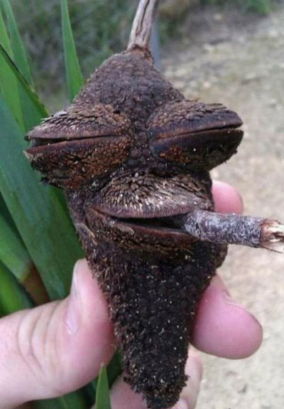 全球趣图精选第52弹(15)