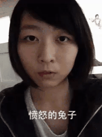 9种兔子表情搞笑GIF(4)