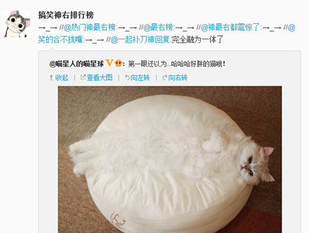 微博神最右盘点第95弹(5)