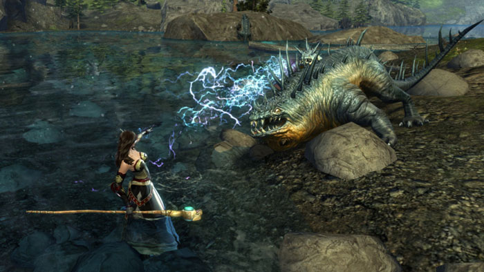 奇幻网游《激战2》游戏截图(15)