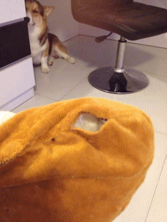 囧雷傻缺GIF图系列130(11)