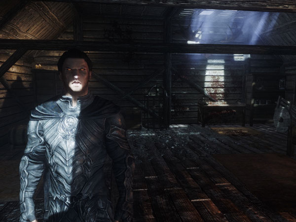 《上古卷轴5天际》最新MOD截图(10)