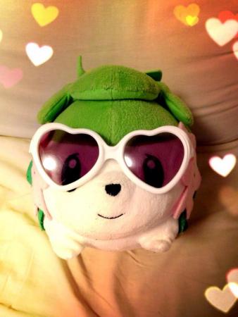 《口袋妖怪》角色玩偶眼镜照赏析(6)