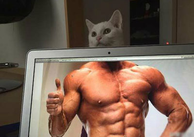 全球趣图精选第52弹(10)