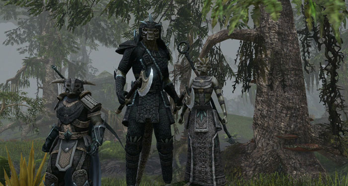 RPG网游《上古卷轴ol》游戏截图(19)