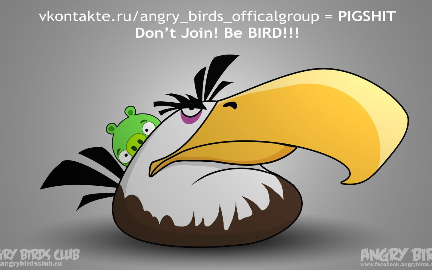 愤怒的小鸟高清桌面壁纸(16)