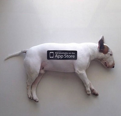 牛头梗Jimmy72变搞笑图集(16)