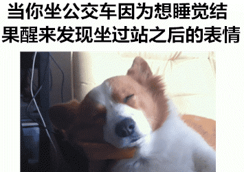 那些神一样的配文搞笑GIF(3)