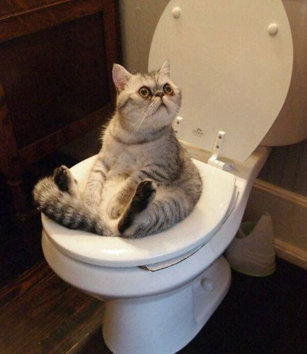 全球趣图精选第50弹(11)