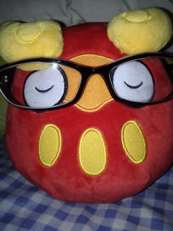 《口袋妖怪》角色玩偶眼镜照赏析(7)