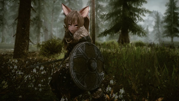 《上古卷轴5天际》最新MOD截图(26)