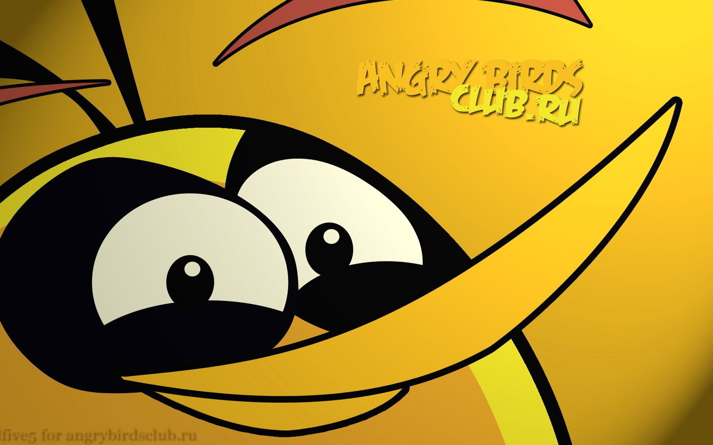 愤怒的小鸟高清桌面壁纸(11)