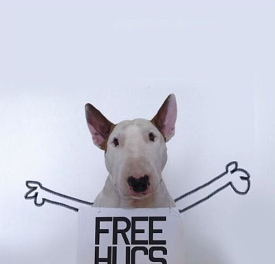 牛头梗Jimmy72变搞笑图集(14)