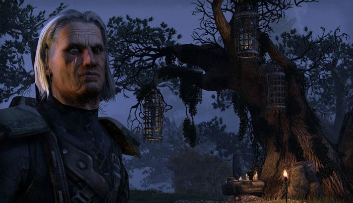 RPG网游《上古卷轴ol》游戏截图(17)