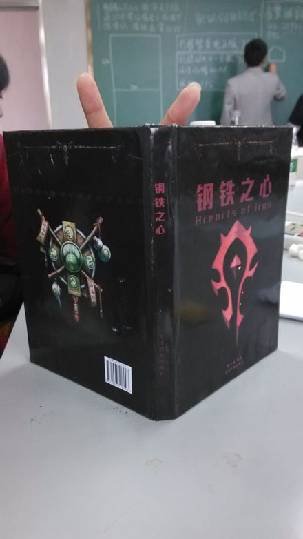 玩家自制魔兽世界周边图书(8)